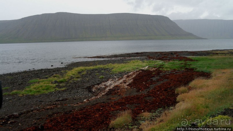 В гостях у "лобстера": сказочный фьорд и Гремящий водопад