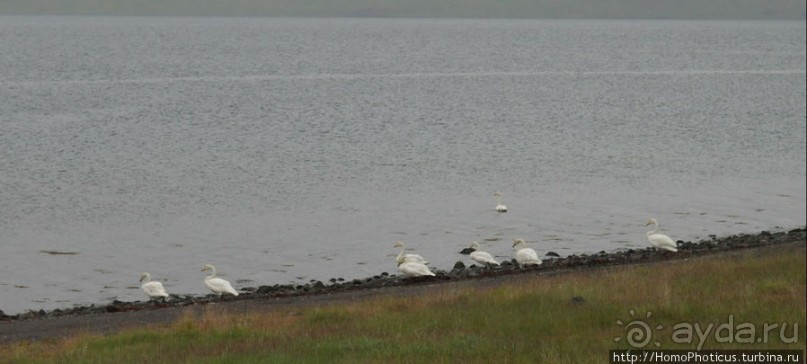 В гостях у "лобстера": сказочный фьорд и Гремящий водопад