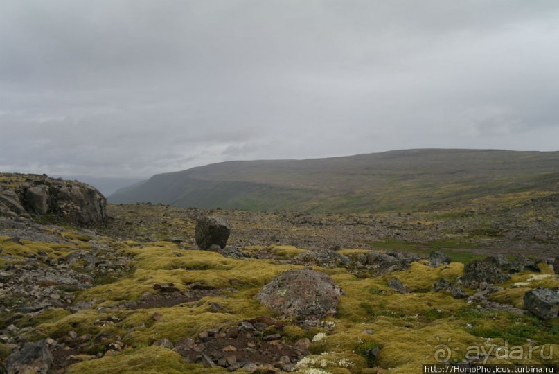 В гостях у "лобстера": сказочный фьорд и Гремящий водопад