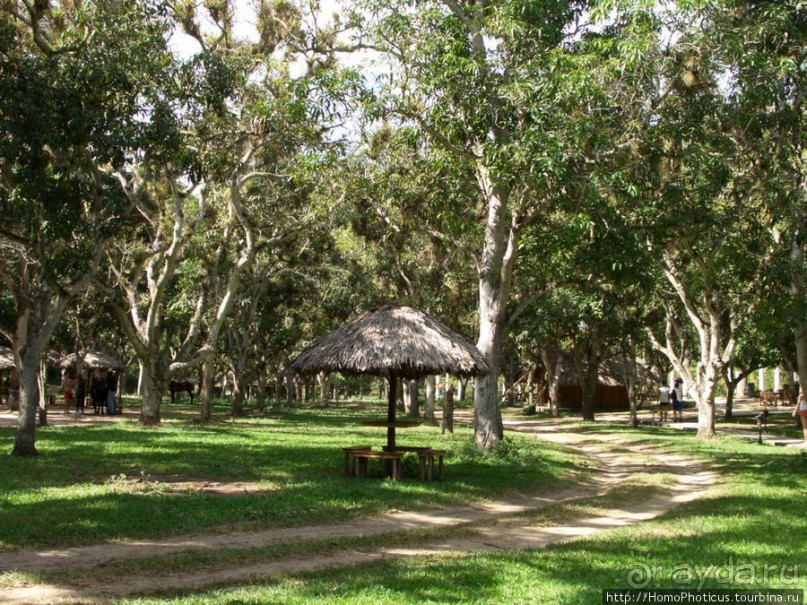 Джип-сафари из Варадеро