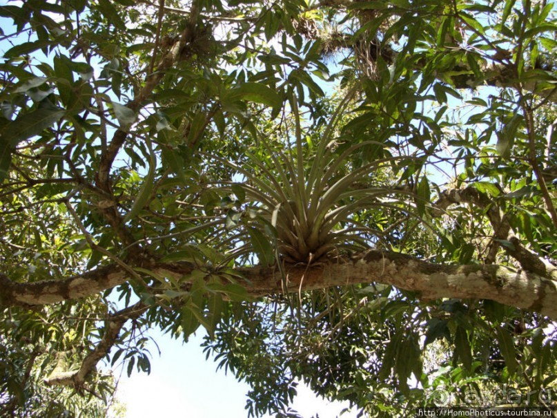 Джип-сафари из Варадеро