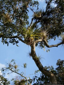 Джип-сафари из Варадеро