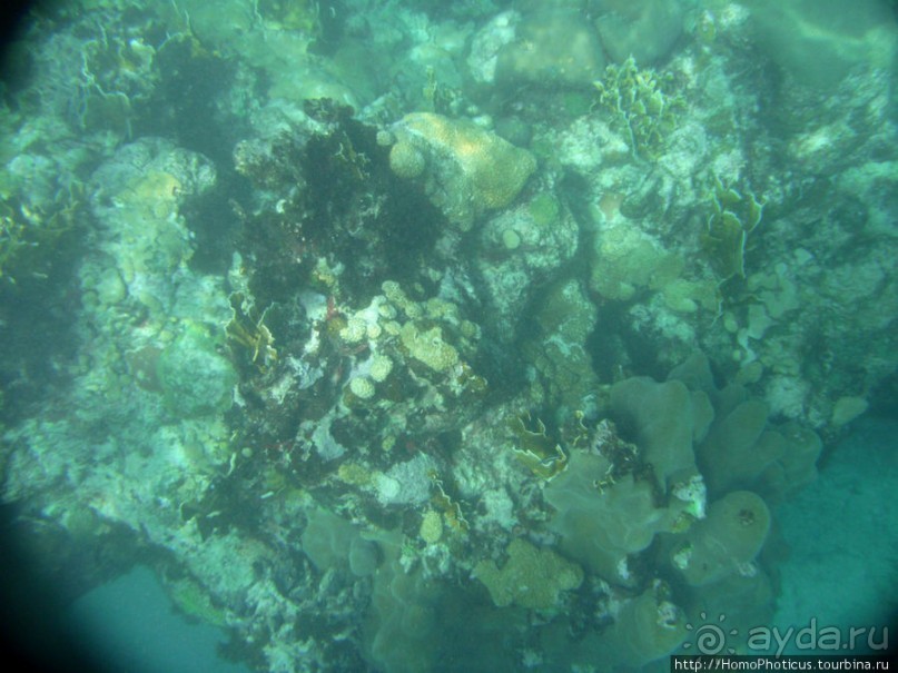 Джип-сафари из Варадеро