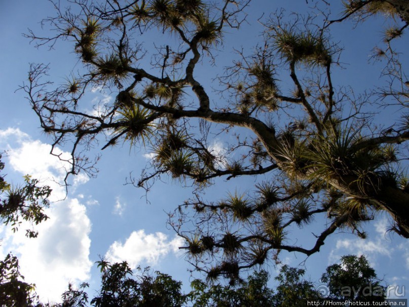 Джип-сафари из Варадеро
