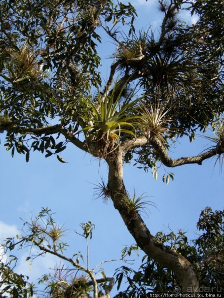 Джип-сафари из Варадеро