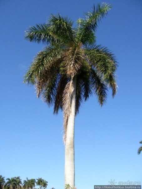 Джип-сафари из Варадеро