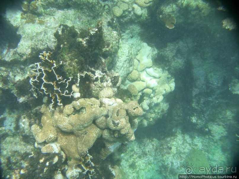 Джип-сафари из Варадеро