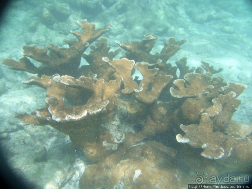 Джип-сафари из Варадеро