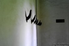 Легкие молодой столицы