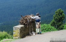 Легкие молодой столицы