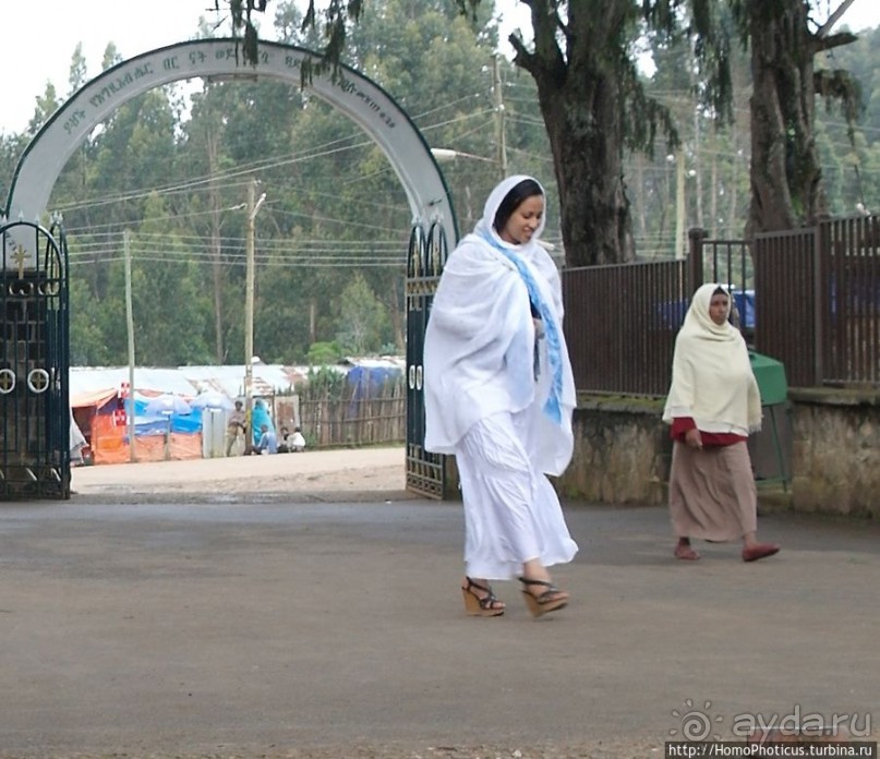 Легкие молодой столицы