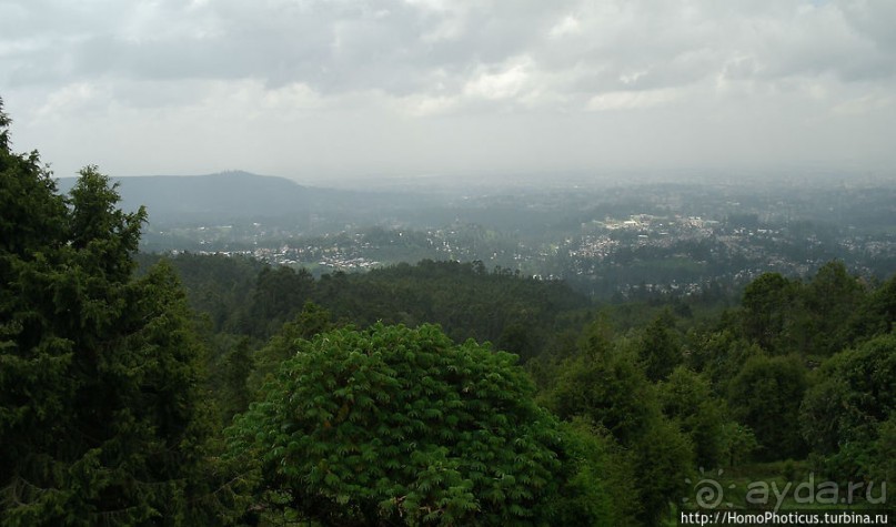 Легкие молодой столицы