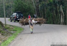 Легкие молодой столицы