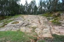 Легкие молодой столицы