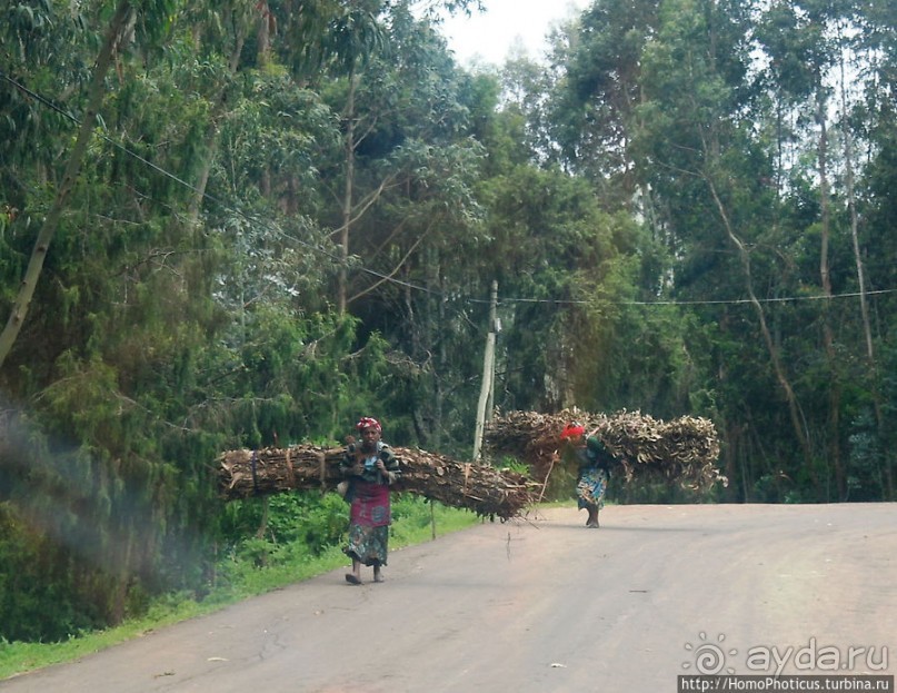 Легкие молодой столицы