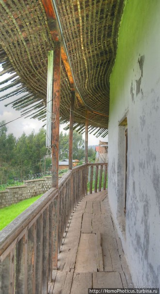 Легкие молодой столицы