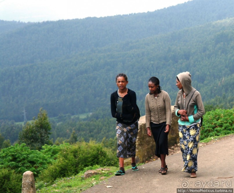 Легкие молодой столицы