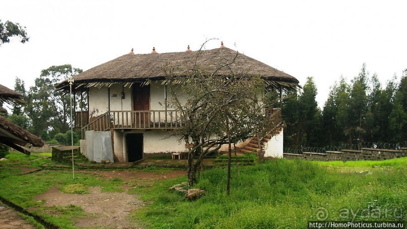 Легкие молодой столицы