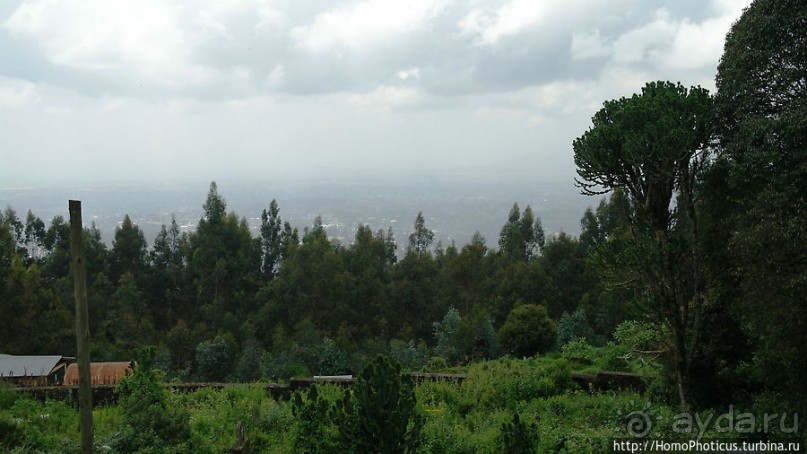 Легкие молодой столицы