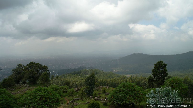 Легкие молодой столицы