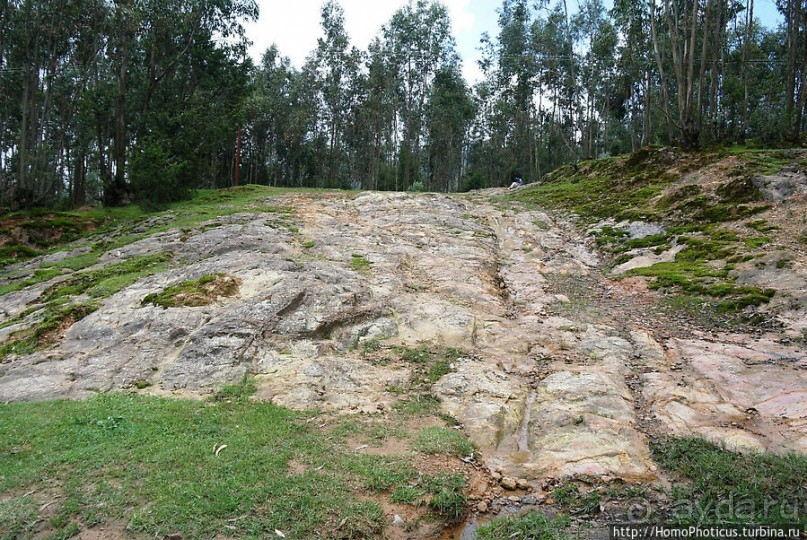 Легкие молодой столицы