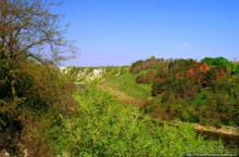 Монастырь имени косули