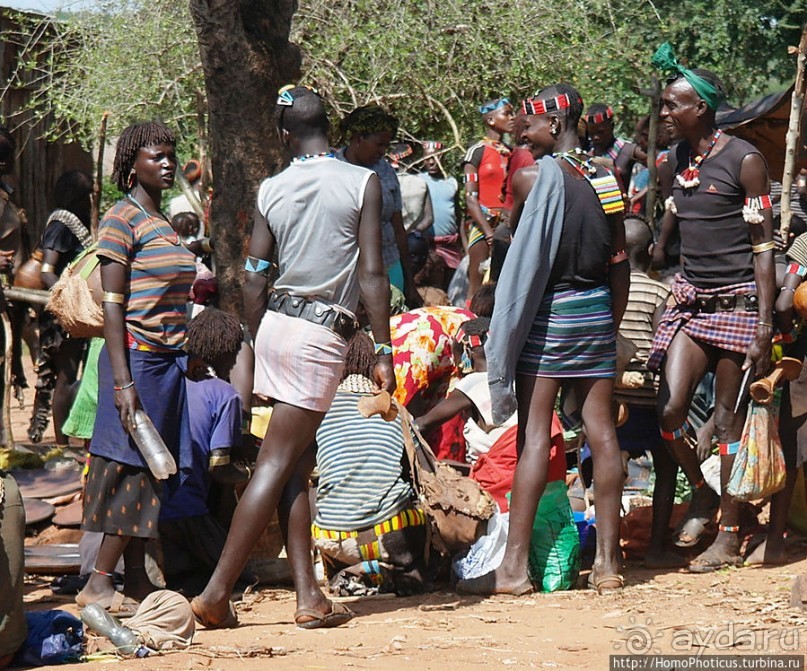 Альбом отзыва "Хамерский рынок"