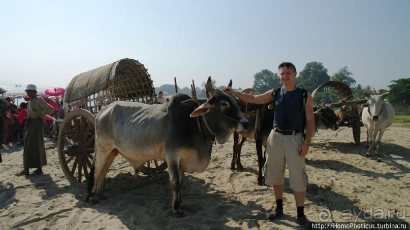 Заброшенная резиденция