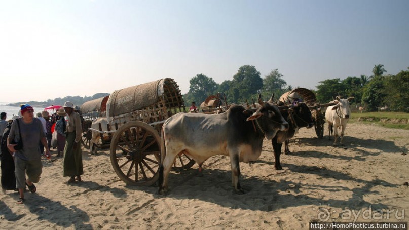 Заброшенная резиденция