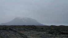 Голая Гея