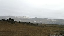 Голая Гея