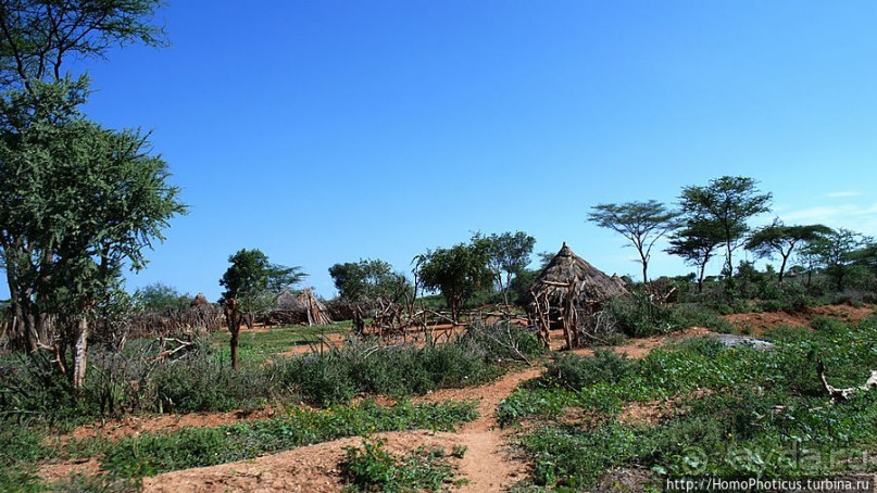 Этнография долины Омо: земля хамеров