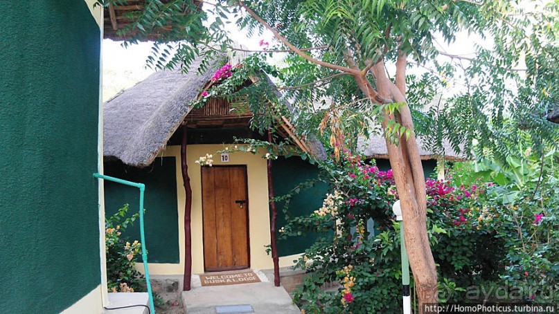 Этнография долины Омо: земля хамеров