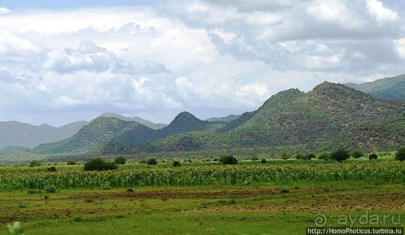Этнография долины Омо: земля хамеров