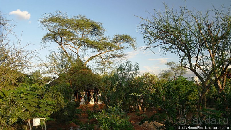 Этнография долины Омо: земля хамеров
