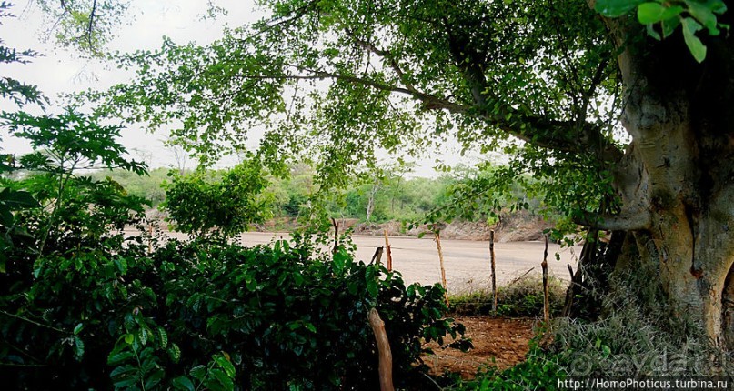 Этнография долины Омо: земля хамеров