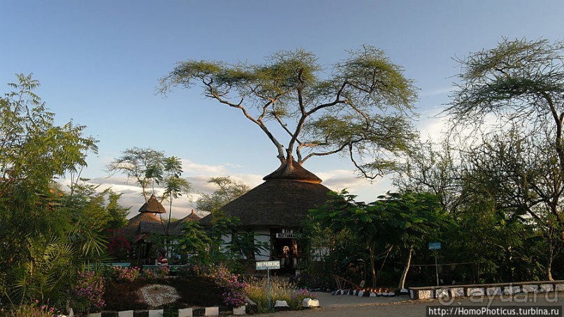 Этнография долины Омо: земля хамеров