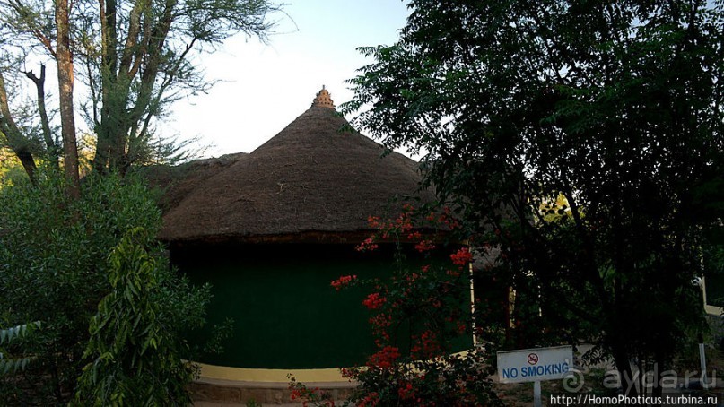 Этнография долины Омо: земля хамеров