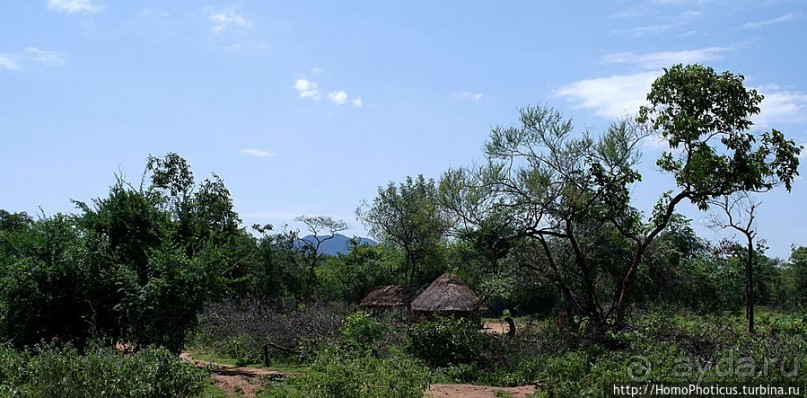 Этнография долины Омо: земля хамеров