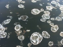 Стольный град Гедимина