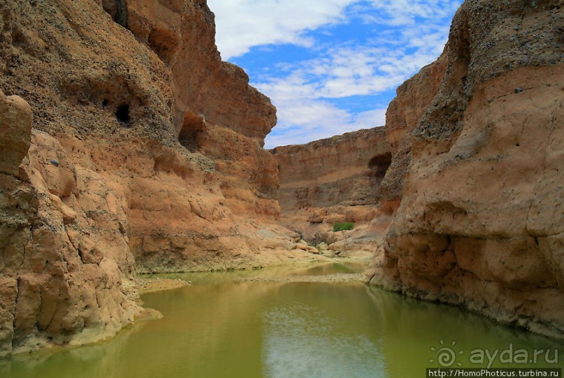 Шесть ремней