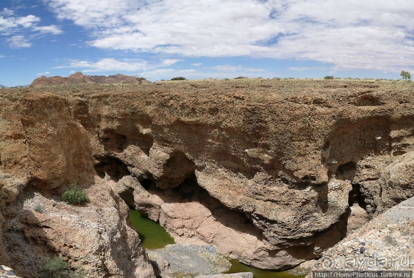 Шесть ремней