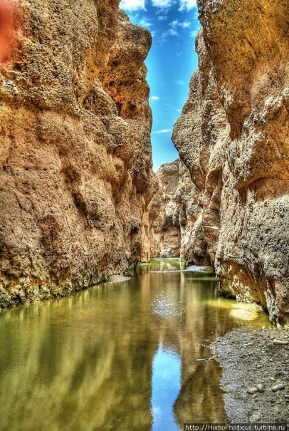 Шесть ремней