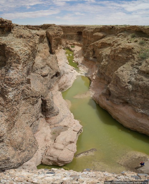 Шесть ремней