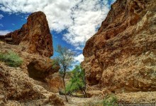 Шесть ремней