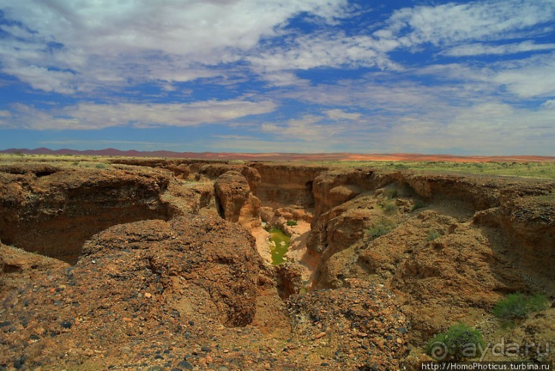 Шесть ремней