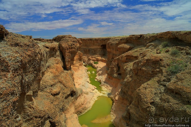 Шесть ремней