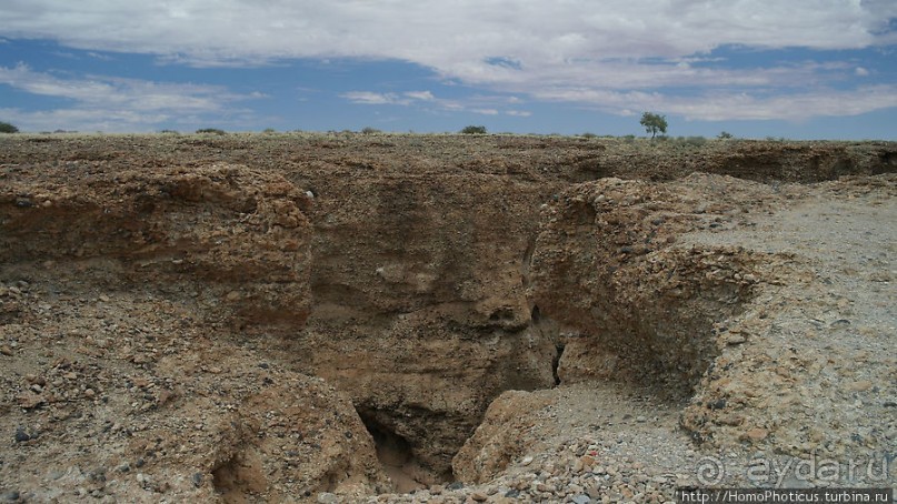 Шесть ремней