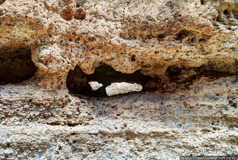 Шесть ремней