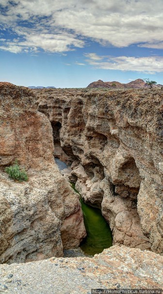 Шесть ремней